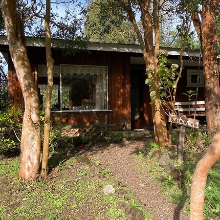 Cabañas el Bosque Patagónico Frutillar Exterior foto